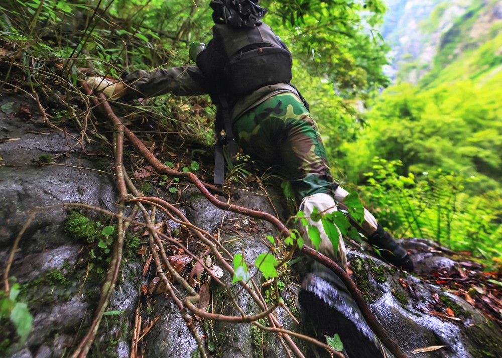 斧頭有哪些類型?